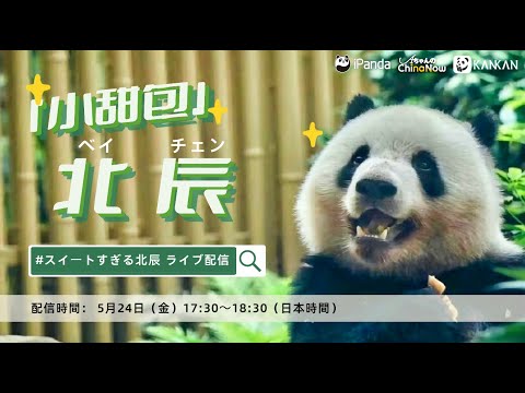 【スイートな🐼 北辰のライブ配信決定!】