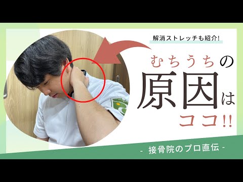 【むちうち〜交通事故後遺症〜】過去、交通事故に遭ったことがあり、朝、起きると首が痛い、首を反らしたり回したりすると痛みが走るときのストレッチ！｜接骨院のプロが教えるお家セルフケア｜テラピスト接骨院