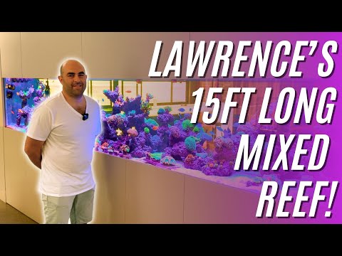 Lawrence's 15 Foot Long First Ever Reef Tank!?!