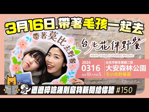 EP. 150 3月16日帶毛孩去 台北花伴野餐日｜毛爸媽碎碎唸