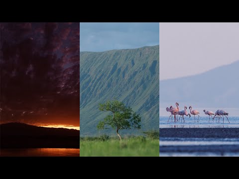 Edit with me Ep1 Travel photos from Tanzania Ipad Pro 11"