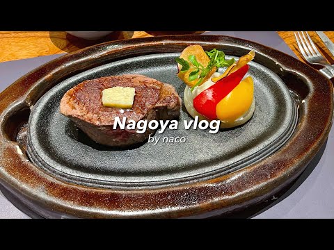 vlog. Christmas dinner in Nagoya🎅🍽️