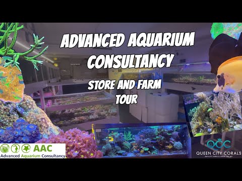 The UK’s Nicest Saltwater Aquarium Store!