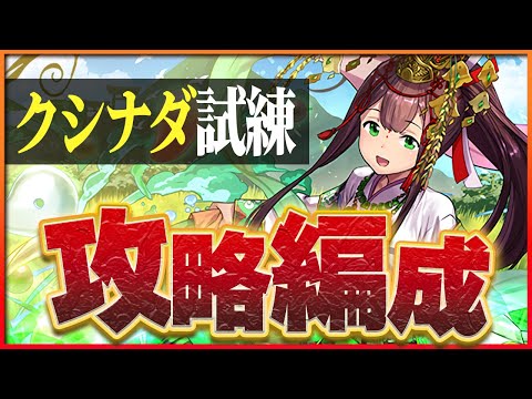 【試練ダンジョン】クシナダヒメ試練進化用編成！ノルディスループで簡単攻略！【パズドラ】