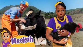 Blippi and Meekah Feed BIG and SMALL Animal Friends! | Educational Videos for Kids | Blippi & Meekah