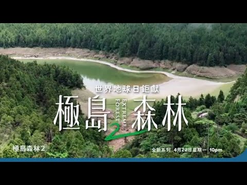 跟著陳柏霖和眾明星一起探索台灣森林的魅力！Discovery世界地球日特輯《極島森林2》 4月22日起，每星期一晚上10點