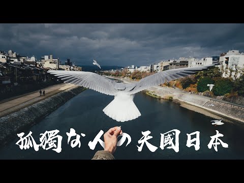 日本，孤独な人の天國