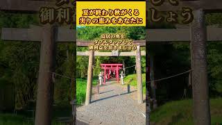 【10秒参拝】富の恵みをあなたに🙏　 #金運 #波動