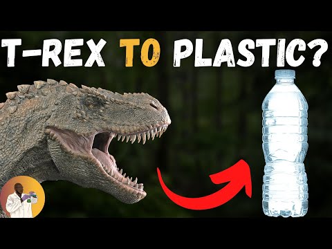 From T-Rex to Plastic Bottle? 🦖 | How Plastic Is Made