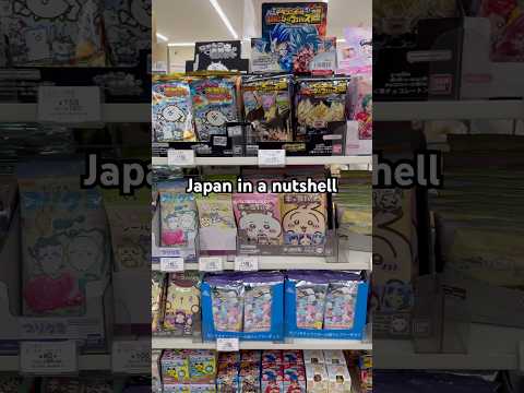 Japan in a nutshell: super relatable if you’re into games and anime #relatable #japan #japantravel