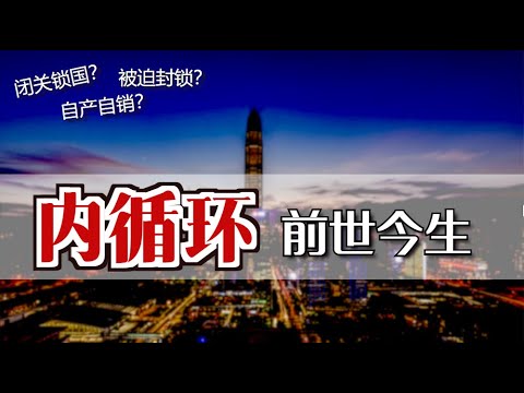 “内循环”前世今生  | What is China's Neixunhuan/Internal Circulation? [Eng Sub]