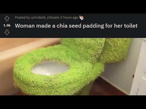 Chia toilet