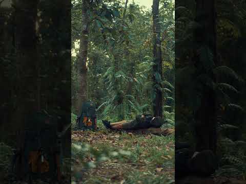 Campinglife #asmr #camping #campinglife #campinginforest #chill