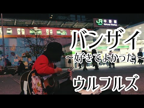 バンザイ 〜好きでよかった〜 / ウルフルズ 【cover by 和泉隆宏】