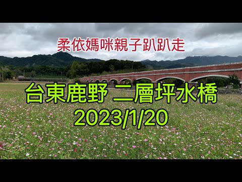 台東鹿野 二層坪水橋  2023/1/20