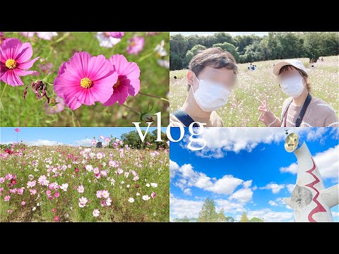 【仲良し夫婦】コスモス畑デート🌼｜万博記念公園｜秋の過ごし方🍂｜Vlog後編🍁