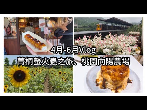 Vlog#板橋舒芙蕾下午茶、桃園網美沙丘打卡、向陽農場、菁桐螢火蟲之旅、中山區日式糰子、韓系馬卡龍