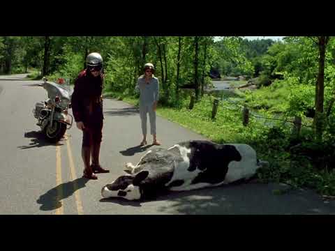 Me, Myself & Irene/Best scene/Peter Farrelly/Bobby Farrelly/Jim Carrey/Renée Zellweger