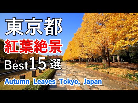 4K Top 15 Best Superb Views of Autumn Leaves in Tokyo, Japan