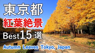 4K Top 15 Best Superb Views of Autumn Leaves in Tokyo, Japan