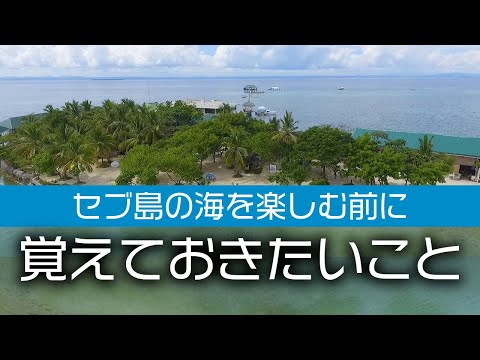 セブ島の海を楽しむ前に覚えておきたいこと