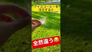 【マジか！】オーストラリアのアイスコーヒーが日本のアイスコーヒーと全然違う！