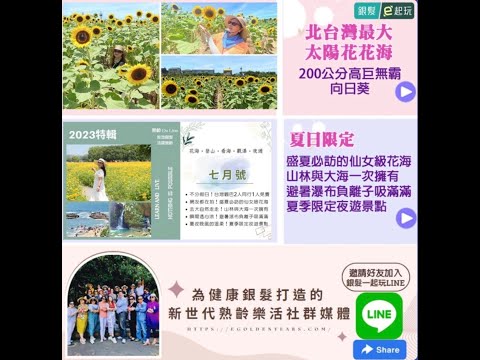 桃園觀音向陽農場向日葵｜北台灣最大花海「2公尺巨無霸向日葵」！感受療癒系正能量，5到10月每週都有花可以拍