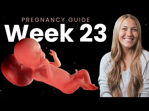 23 Weeks Pregnant | Week By Week Pregnancy