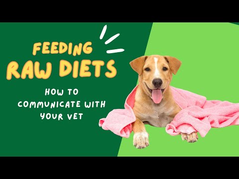 How To Talk To Your Vet About Feeding A Raw Diet