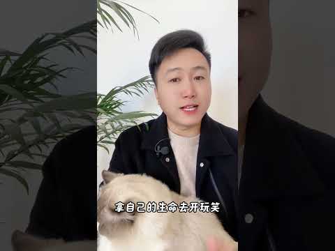 被自家的猫狗，抓伤咬伤，需要打疫苗吗？养猫经验分享 科学养宠攻略 养猫人 狂犬病毒检测卡 新手养猫