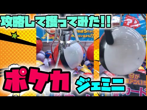 【ポケカ】ジェミニマルチぶんぶんして獲ってみた