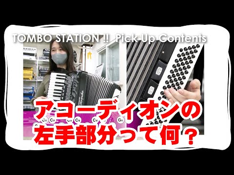 【アコーディオン】アコーディオンの左手のボタンはどうなってるの？【TOMBO STATION!! 切り抜き】