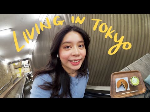 Life in Japan | five years in Japan, friend reunions