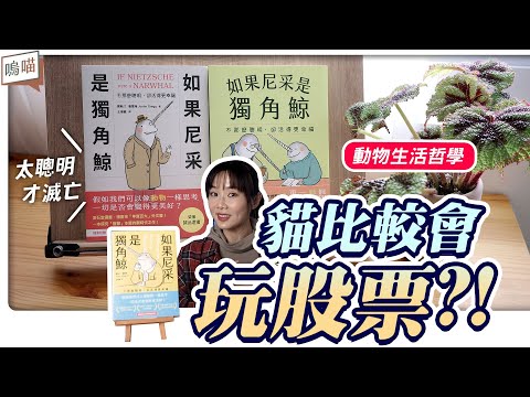 鑽牛角尖 的人，該學動物的 智慧 了？貓居然比人還會玩 股票《 如果尼采是獨角鯨 ：不那麼 聰明 ，卻活得更 幸福 》