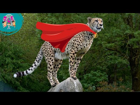 Superpowers of Animals: Facts About Animals with Extraordinary Abilities