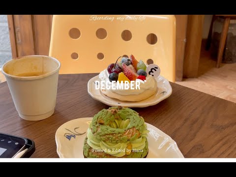 Hana 12月Vlog 厦门日常生活记录-回老家给爸爸过生日 顺便小城镇逛吃 降温前逛公园吃gelato 买诺贝松当圣诞树 迎接圣诞季 做芋泥麻薯肉松三明治