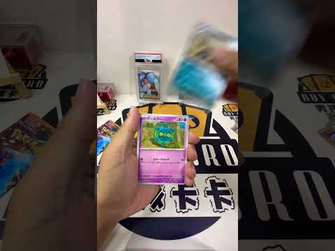 日版星晶奇蹟、狂野之力、古代的咆哮散包各一包！沒錯！又鼠掉了🫣#pokemoncards #寶可夢 #卡牌 #pokemon #ptcg #pokemontcg