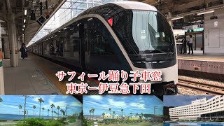 【サフィール踊り子】東京ー伊豆急下田間車窓風景2020/06/26