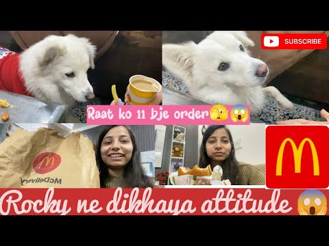 Ye h meri favourite coffee ☕ | raat ko kyu Kiya khana order || JV23 #jaatnivlog #mcdonalds