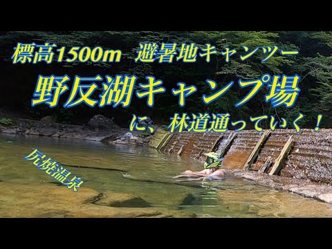 【林道キャンツー】野反湖キャンプ場　林道編