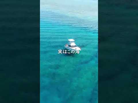 最高の海をひとりじめ！沖縄の海でクルージング✨#沖縄 #海 #クルージング #shorts