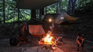 Rain and my dog ​​Rain camping with a hammock and a small tarp