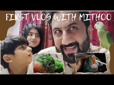 "Meet My Pet Parrot! 🦜 Family Fun with Taha & Noor | Zahid Khan Vlogs"