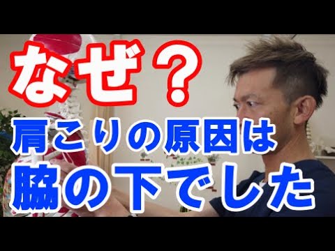 厄介な肩こりは〇筋をほぐすとスカッと解消