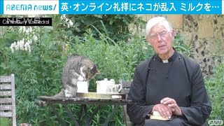 オンライン礼拝中にカワイイ“友達”　英で話題に(20/07/09)