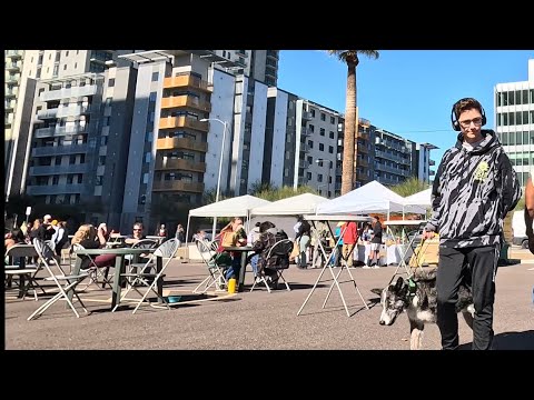 A Weekend in Downtown Phoenix - eBike Ride - Phoenix Arizona