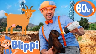 Blippi Feeds Baby Goats! 🐐 | Fun Farm Adventure for Kids | Educational Videos for Kids