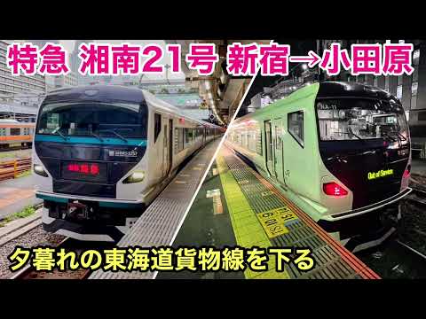 【車窓】特急湘南21号 新宿→小田原 夕暮れの東海道貨物線を下る See Japan by train “Ltd. Express SHONAN No.21 for Odawara”