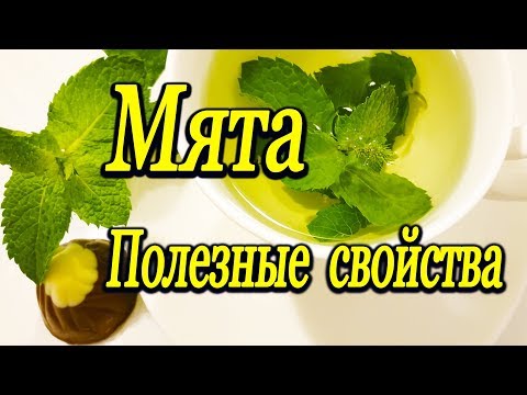 мята почему полезно пить мятный чай польза и противопоказания мяты