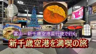 新千歳空港から出ない旅【新千歳空港ターミナルホテルに泊まってグルメに温泉満喫】